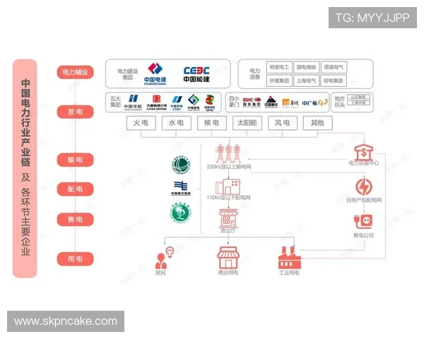 上海排球队转型之路探秘：从传统强队到现代化竞技新标杆