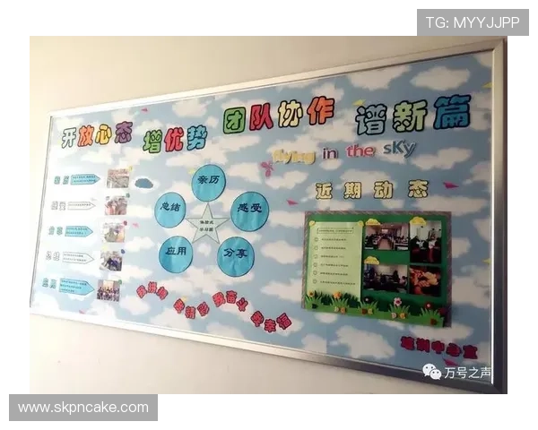 北京排球队灵活性探讨：如何提升战术应变能力与团队协作