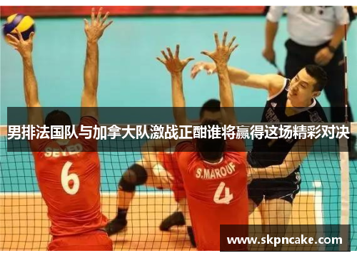 男排法国队与加拿大队激战正酣谁将赢得这场精彩对决