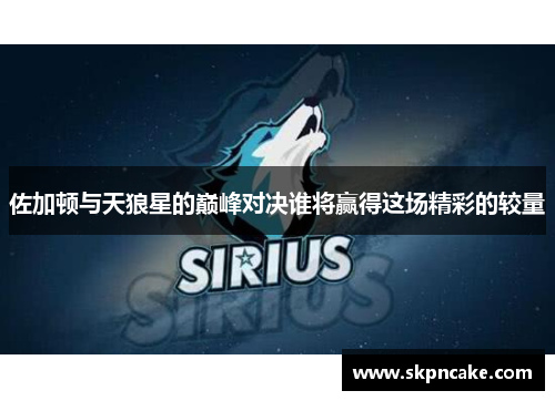 佐加顿与天狼星的巅峰对决谁将赢得这场精彩的较量